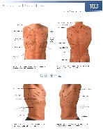 Sobotta  Atlas of Human Anatomy  Trunk, Viscera,Lower Limb Volume2 2006, page 110